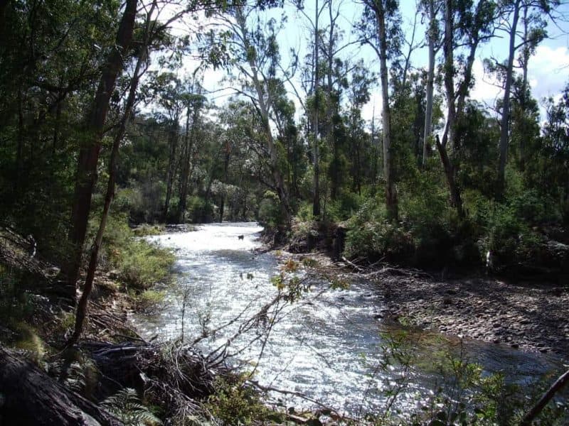 Hiking The Wonnangatta-moroka 