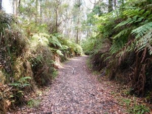 Upper Yarra Track: Section Five: Erica to Walhalla: | The Ultralight Hiker