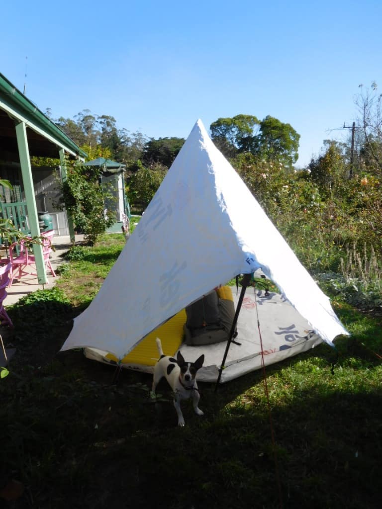 New Decagon Octagon Tyvek Igloo Tent Design: | The Ultralight Hiker