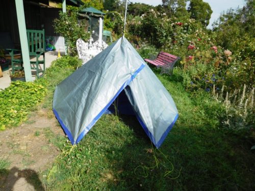 Poly Tent by The Ultralight Hiker on the Cheap: | The Ultralight Hiker