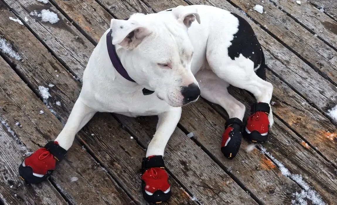 Homemade dog hot sale booties